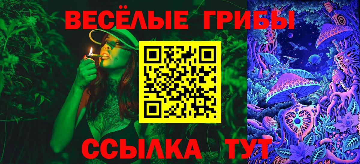 Крымск  Галлюциногенные грибы мицелий  Вход с VPN 